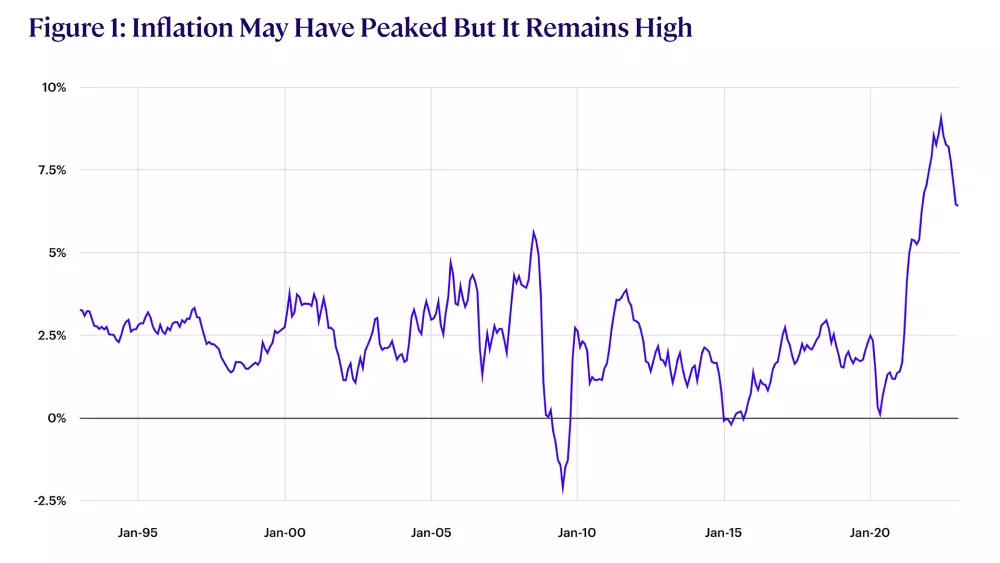 Inflation may have peaked but it remains high chart