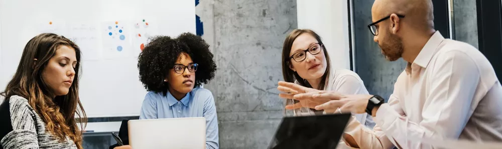 Diverse group of professionals meeting together