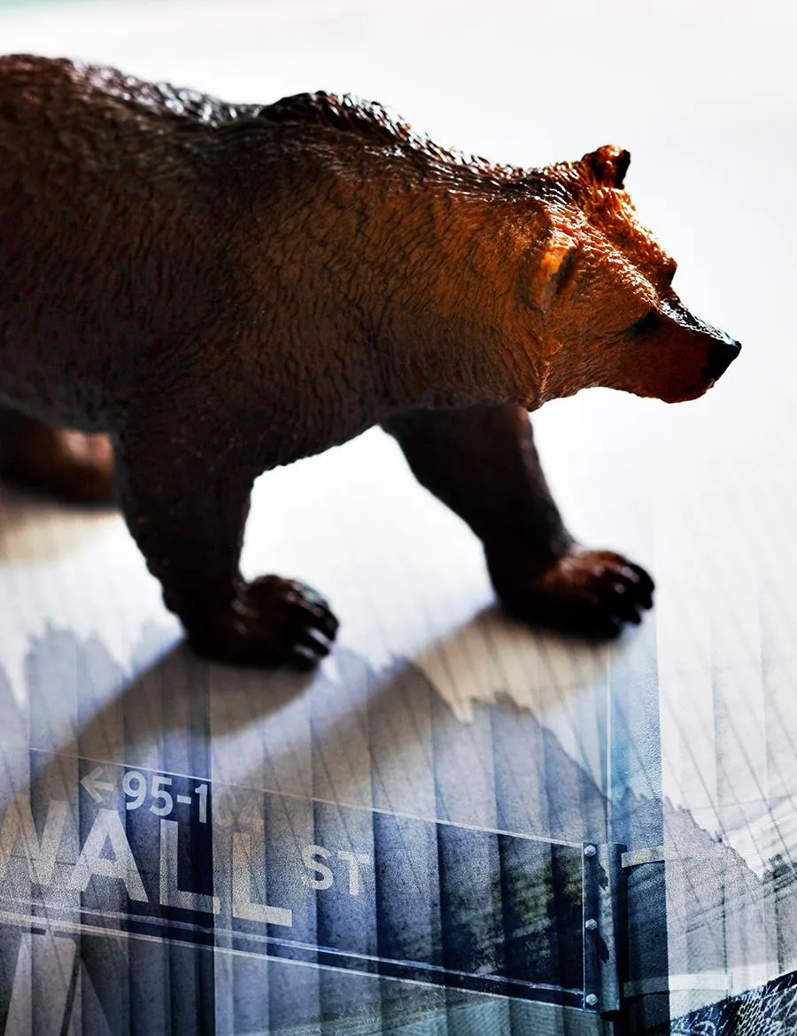 Bear walking across wall street