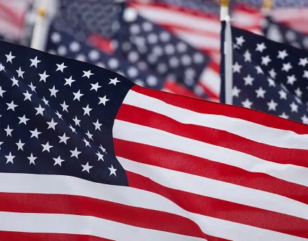 Row of American flags